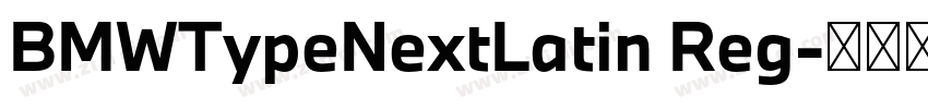 BMWTypeNextLatin Reg字体转换 BMWTypeNextLatin Reg字体转换